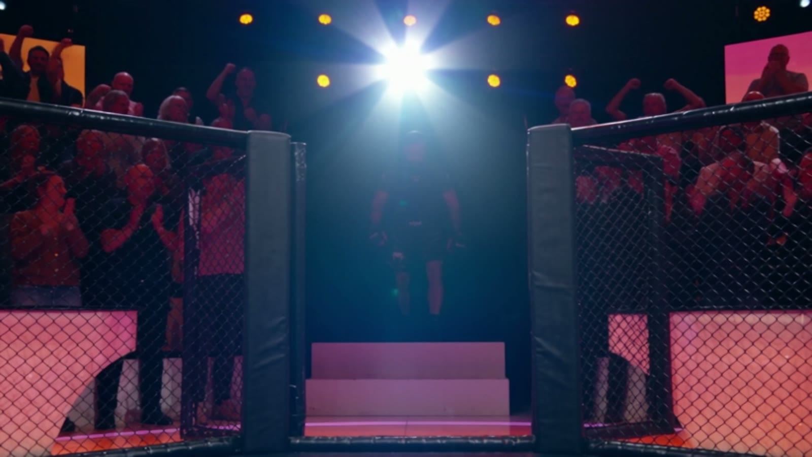 L'entrée dans la cage, foule et projecteurs entièrement générés
