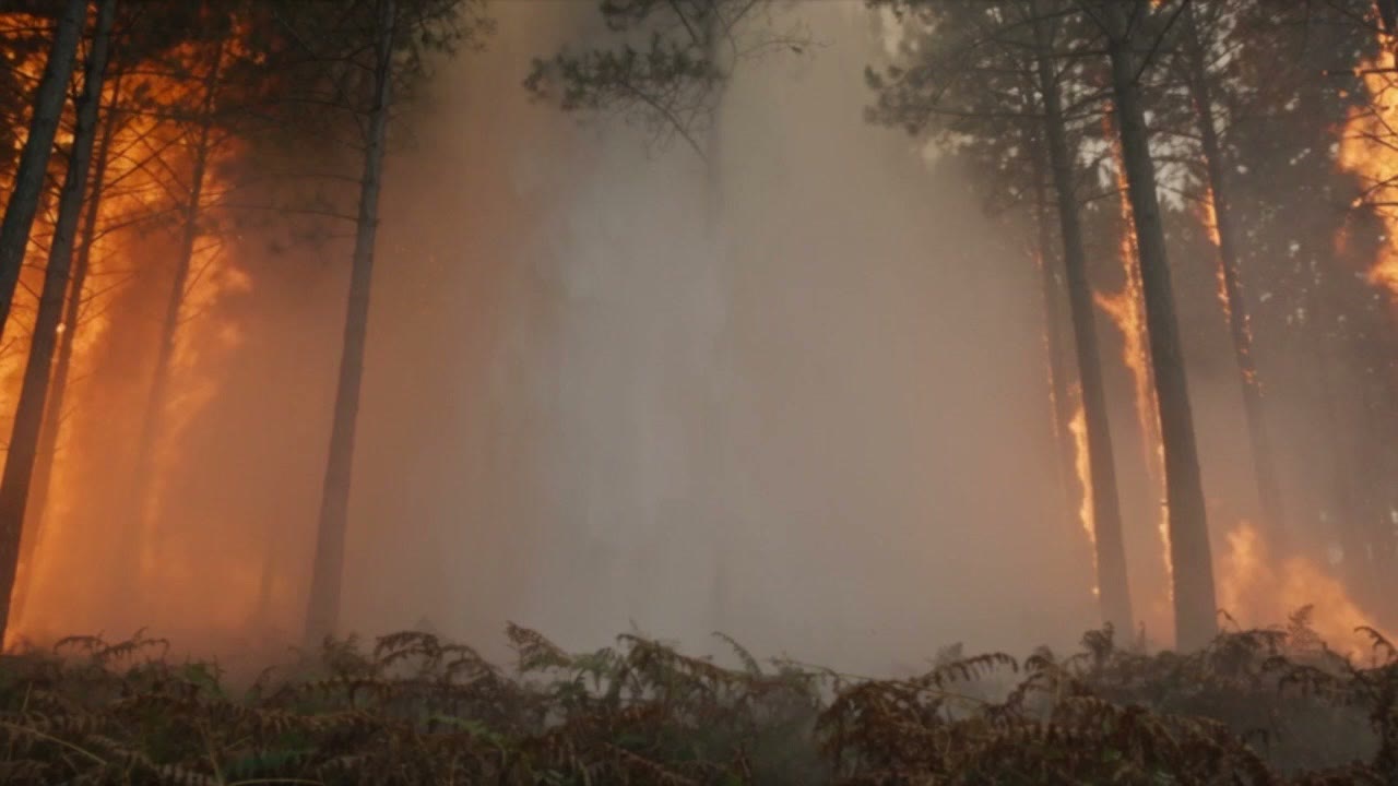 Un pompier au milieu d'un sous-bois saturé de fumée orange